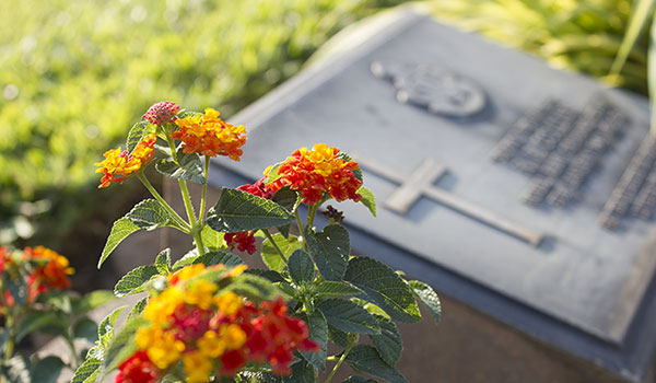 View of cemetery
